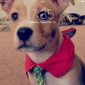 Meet your Posher, Cody